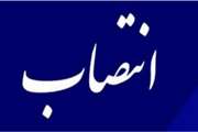 انتصاب بازرس معتمد اداره کل دامپزشکی استان سیستان و بلوچستان