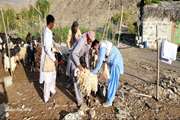 600 هزار خدمت رایگان به دامدران مناطق محروم استان سیستان و بلوچستان