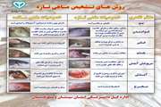 روش‌های تشخیص ماهی تازه