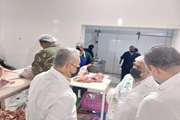بازدید مدیرکل دامپزشکی سیستان و بلوچستان از واحد بسته‌بندی گوشت قرمز در شهرستان کنارک