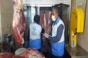  برخورد قاطع دامپزشکی با کشتار غیرمجاز در زاهدان/ معدوم‌سازی بیش از دو تُن گوشت قرمز غیر بهداشتی