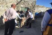 حضور مدیرکل دامپزشکی سیستان و بلوچستان در مناطق سیل زده شهرستان نیکشهر جهت ارزیابی خسارات دامی