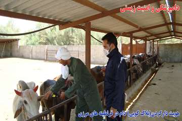 اقدامات دامپزشكي