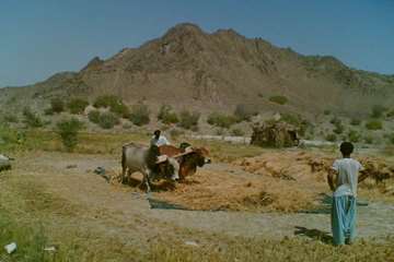 دیدنیهای شهرستان نیکشهر