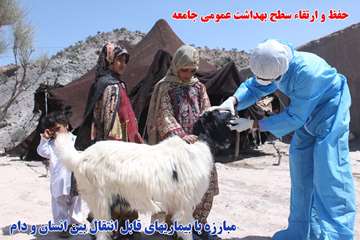 اقدامات دامپزشكي