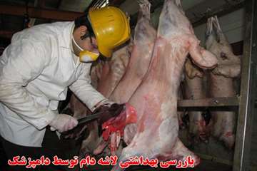 نظارت بهداشتی 