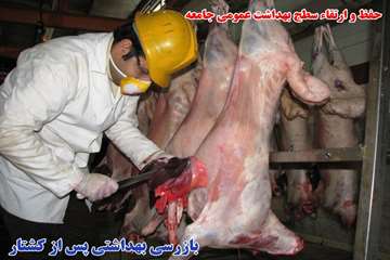 اقدامات دامپزشكي