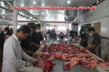 نظارت بهداشتی 