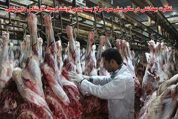 نظارت بهداشتی 