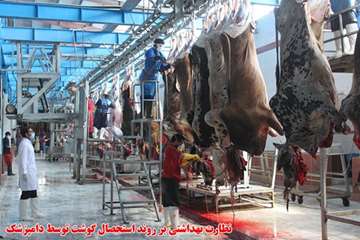 نظارت بهداشتی 