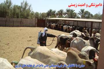 اقدامات دامپزشكي