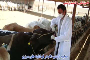 اقدامات دامپزشكي