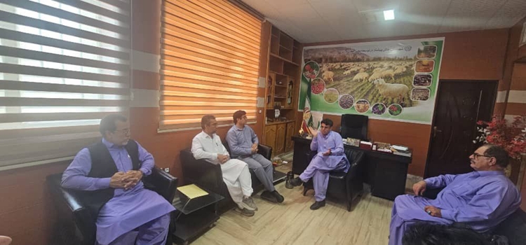 با هدف تأمین کالای اساسی؛ بررسی راهکارهای تأمین مرغ با مشارکت دامپزشکی