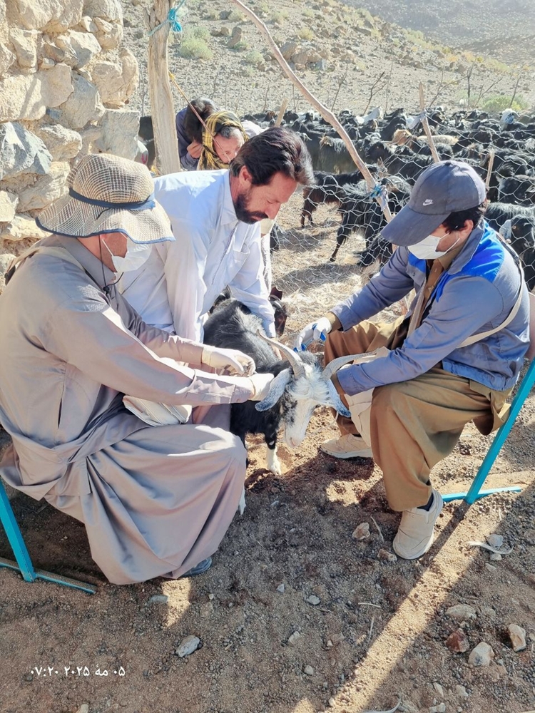 اردوی جهادی یک‌روزه دامپزشکی در مناطق عشایری مهرستان برگزار شد