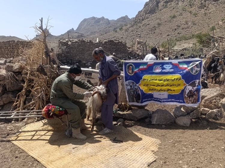 اجرای اردوی جهادی دامپزشکی در شهرستان سیب و سوران