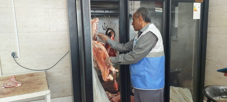 پلمب ۱۵ واحد متخلف کشتار و عرضه غیرمجاز دام و طیور در زاهدان / دکتر اسکندری: سلامت فرآورده‌های دامی خط قرمز دامپزشکی است