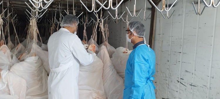 ارتقای ظرفیت بهداشتی و بسته‌بندی گوشت در جنوب سیستان‌ و بلوچستان / بازدید دامپزشکی از مجتمع کیمیا گوشت پیشین