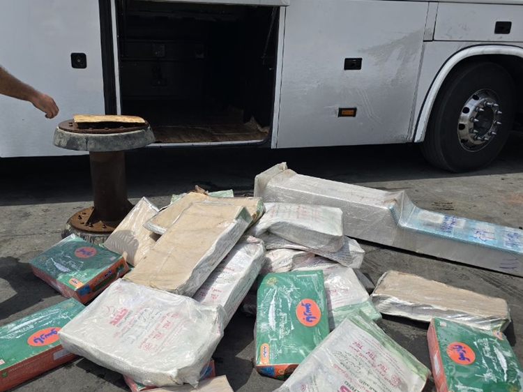 ضبط و معدوم‌سازی ۳۱۰ کیلوگرم فرآورده خام دامی فاسد در چابهار